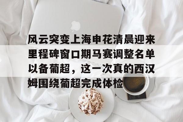 爱游戏在线-上海申花确定首发阵容